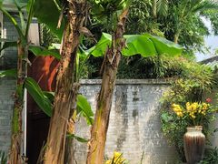 -广州兰圃