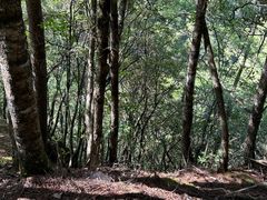 -神农架景区