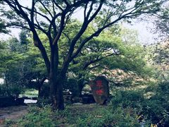 -无锡惠山寺