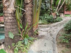 -碧桂园润杨溪谷温泉酒店