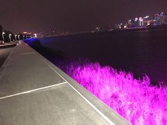 -钱江新城灯光秀