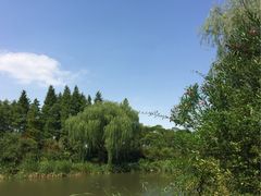 -新江湾城公园