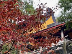 -灵隐飞来峰景区