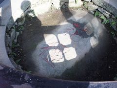 -庐山风景区花径公园