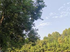 -四里河滨水生态公园