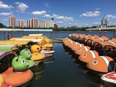 -莲花池公园