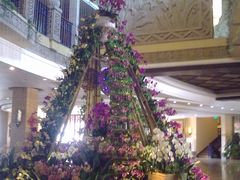 -三亚亚龙湾凯莱仙人掌度假酒店