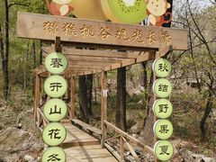 -大岭沟猕猴桃谷风景区