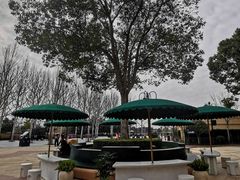 景观位-星巴克(迪士尼小镇店)