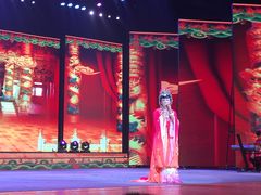 演出-南风大剧院莎梦二人转剧场