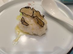 黑松露鸡淖-松云泽