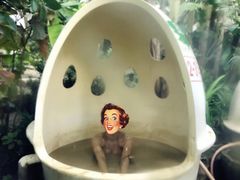 -100蛋泥浆浴