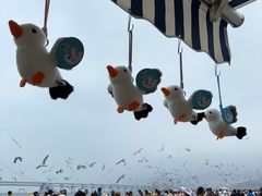 -星海广场