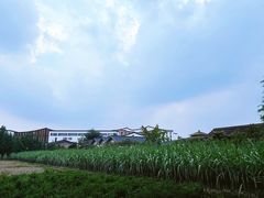 -乌村