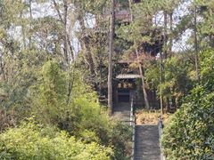 -梦姑塘文化公园