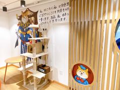 -南京Hallo宠物乐园·哈罗犬舍·柴犬繁育基地
