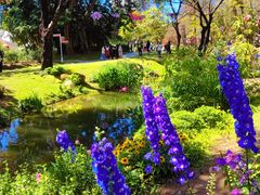 -人民公园(罗湖区)