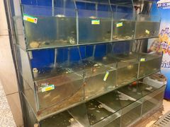 -天天渔港海鲜酒家(石浦玉泉路店)