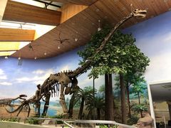 -延庆地质公园博物馆