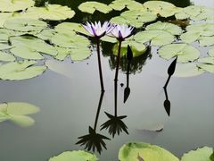 -国家植物园南园