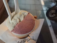 -Dip in Gelato(富民路店)