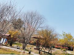 -东海森林温泉度假酒店