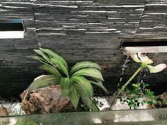 -大榕树下顺德菜(融创茂店)