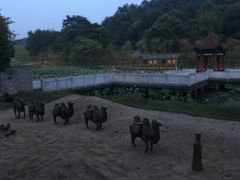-江西景德镇玉田湖国家湿地公园