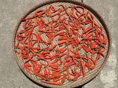 -武陵山森林公园