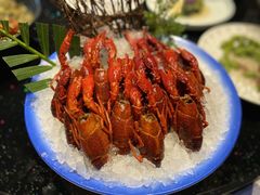 -洪福龙虾