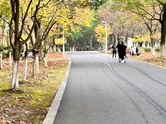 -白塘生态植物园