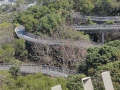 -福道
