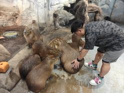 -Zoolung Zoolung动物主题公园(海信广场店)