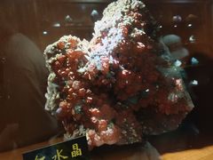 -青岛德国总督楼旧址博物馆