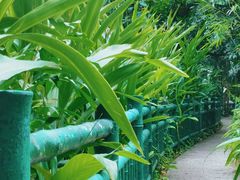 -广州兰圃
