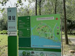 -合肥滨湖国家森林公园