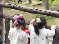 -柳州市动物园