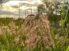 -野鸭湖国家湿地公园
