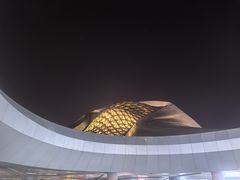 -哈尔滨大剧院