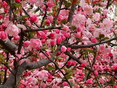 -昆山城市生态森林公园