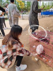 -前小桔亲子创意农场·草莓采摘·露营烧烤