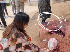 -前小桔亲子创意农场·草莓采摘·露营烧烤