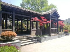 -白马涧龙池景区