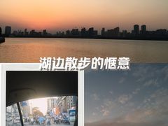 -燕鸣岛