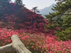 -木兰云雾山