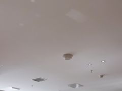 -鸽子侯·家宴·平价海鲜(绿地店)