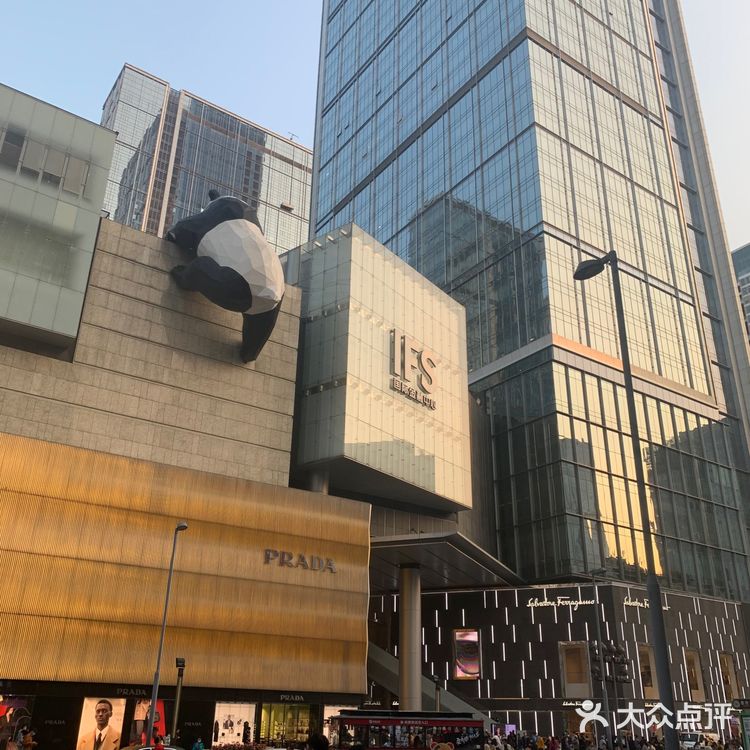 外地土狗打卡网红熊猫pp