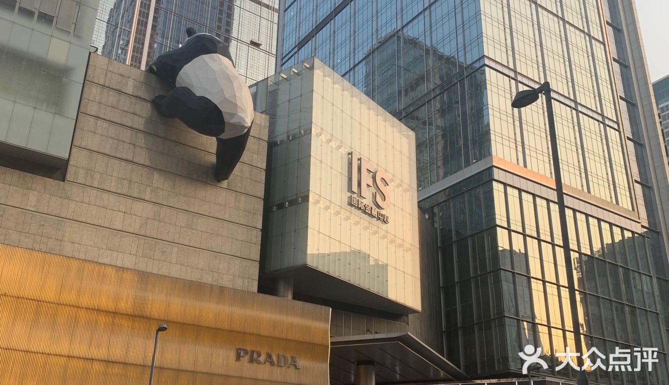 外地土狗打卡网红熊猫pp