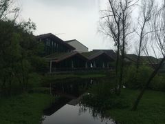 -西湖风景区-江洋畈生态公园