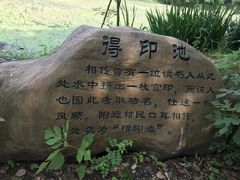 -东山香樟园